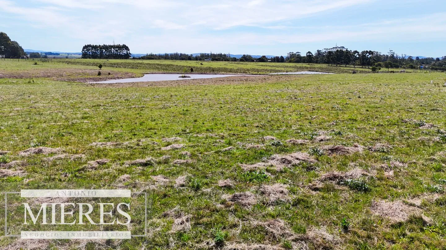 Chacra / Campo 5,0 ha en Maldonado — foto 5