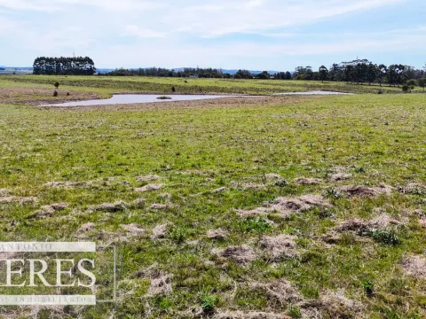 Chacra / Campo 5,0 ha en Maldonado — foto 5