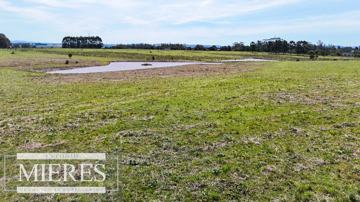 Chacra / Campo 5,0 ha en Maldonado — foto 6