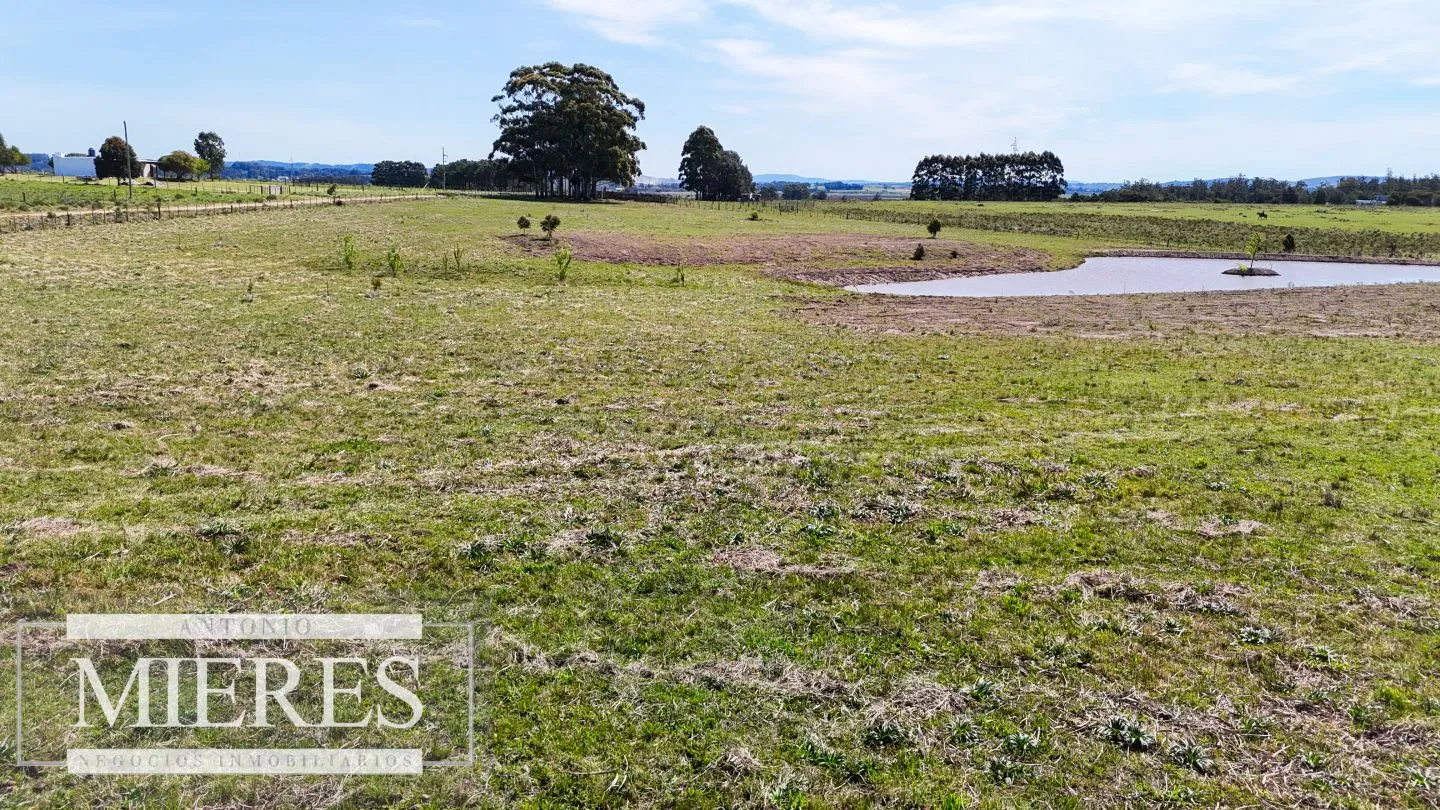 Chacra / Campo 5,0 ha en Maldonado — foto 7