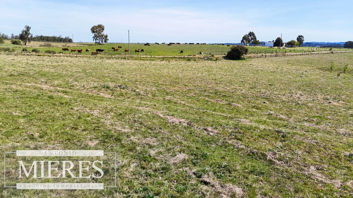 Chacra / Campo 5,0 ha en Maldonado — foto 8