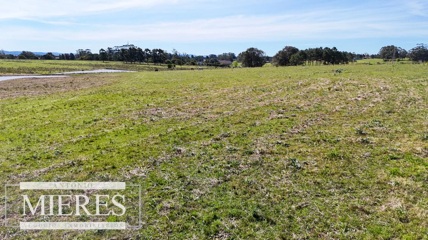 Chacra / Campo 5,0 ha en Maldonado — foto 9