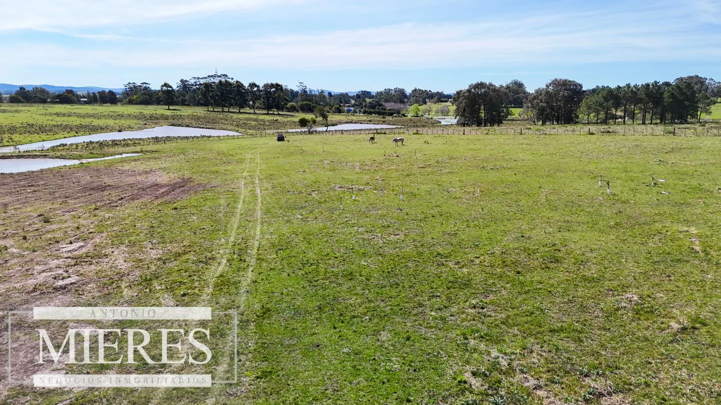 Chacra / Campo 5,0 ha en Maldonado — foto 10