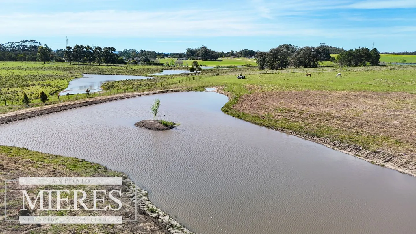 Chacra / Campo 5,0 ha en Maldonado — foto 11
