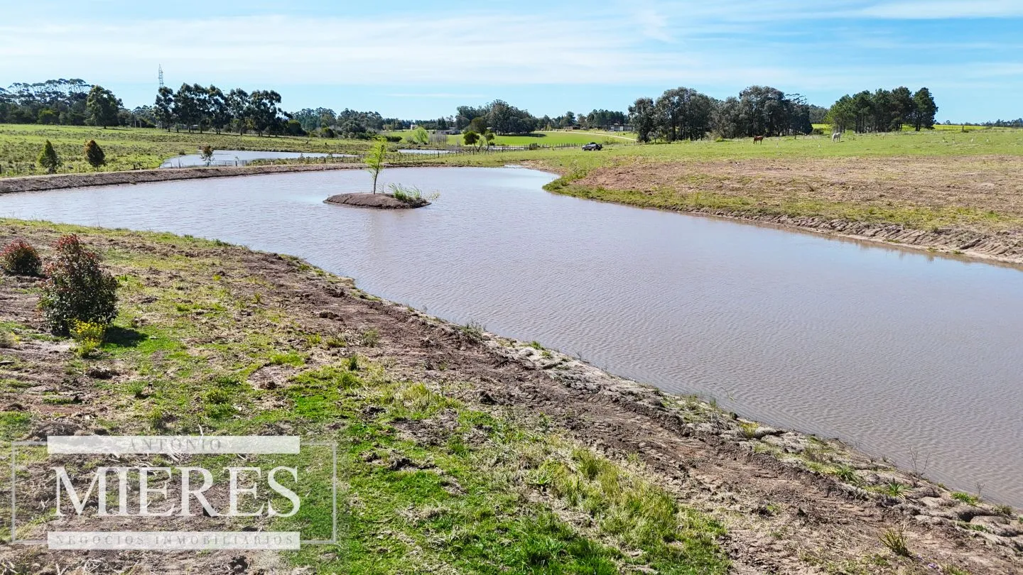 Chacra / Campo 5,0 ha en Maldonado — foto 12
