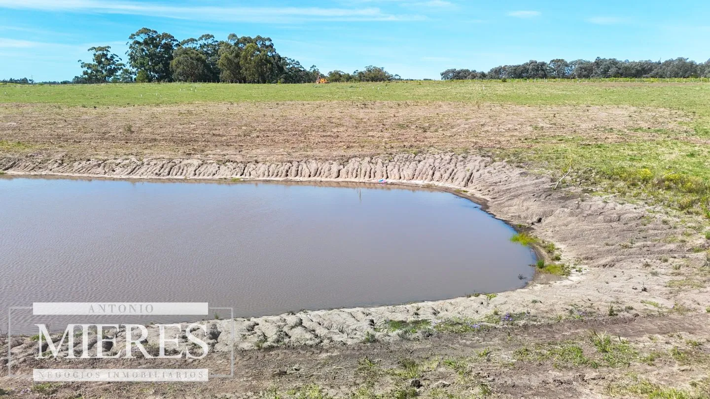 Chacra / Campo 5,0 ha en Maldonado — foto 14