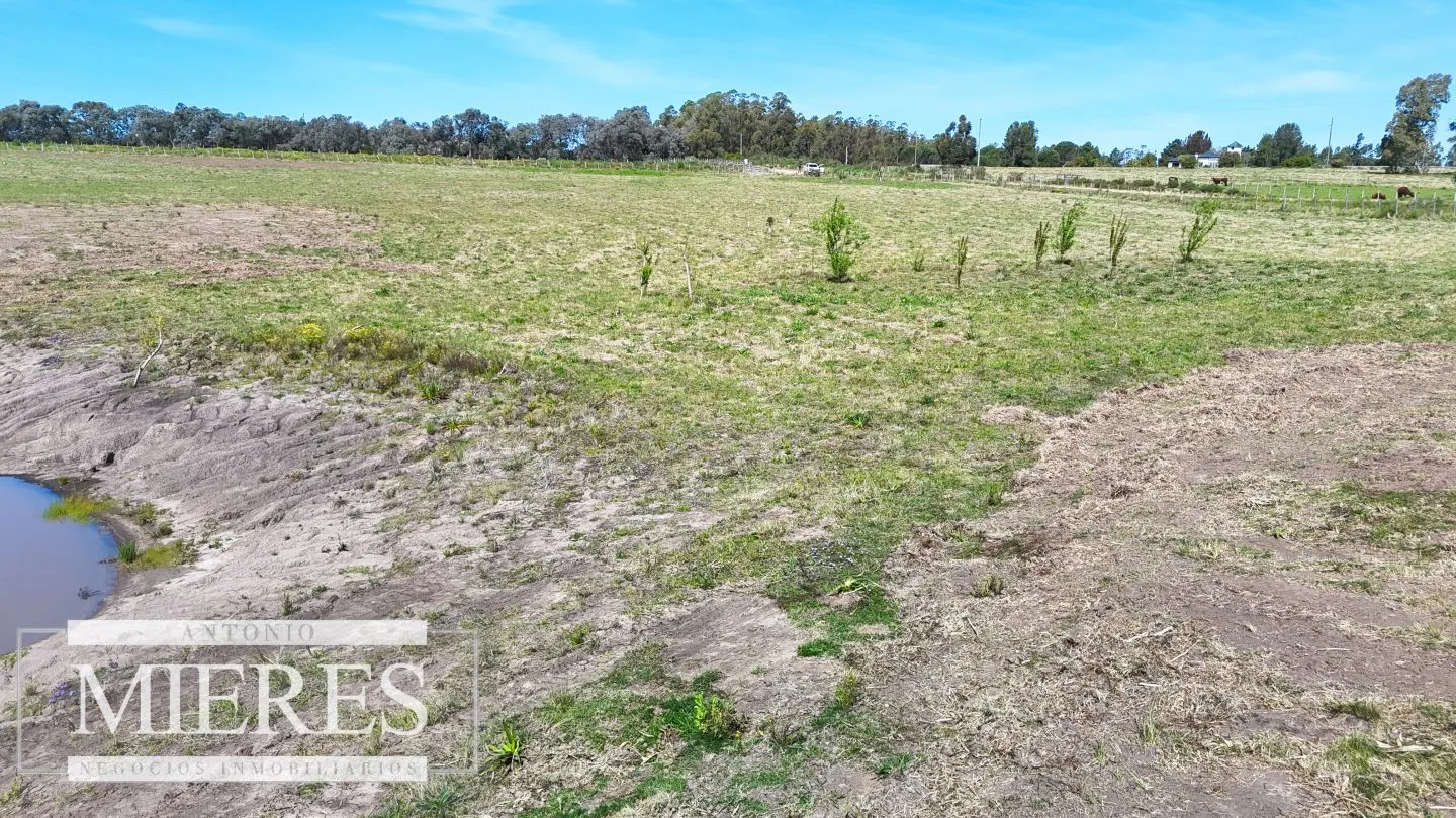 Chacra / Campo 5,0 ha en Maldonado — foto 15