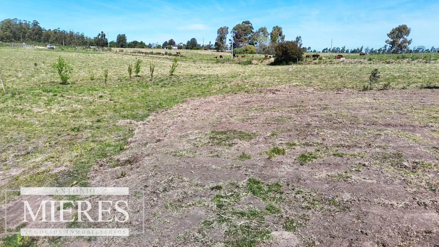 Chacra / Campo 5,0 ha en Maldonado — foto 16