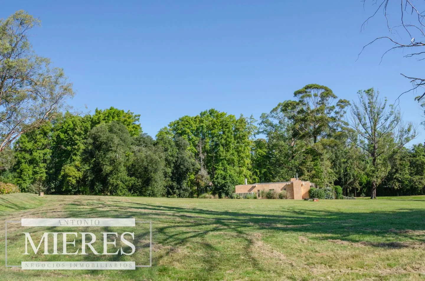 Lote en venta EL Puertito - Punta Ballena — foto 2