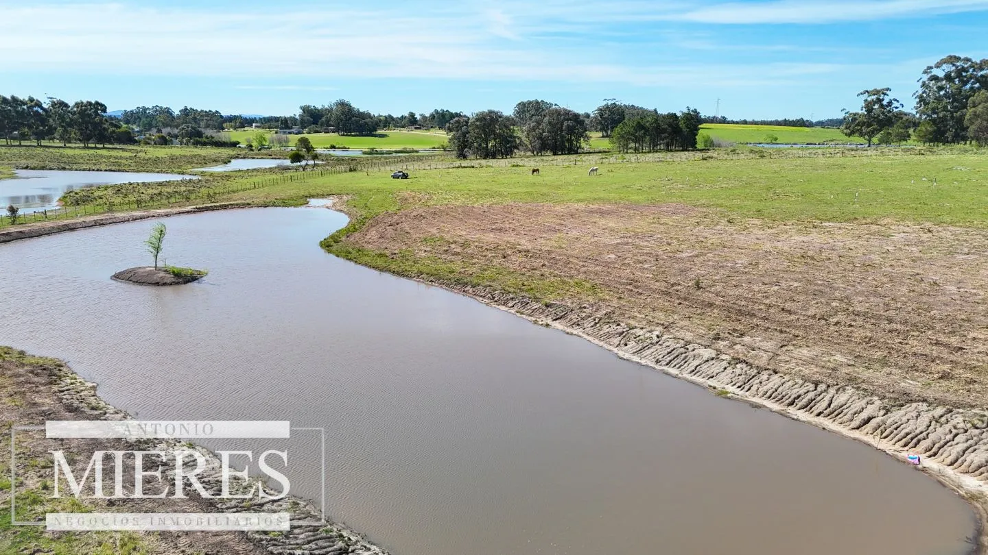 Chacra / Campo 5,0 ha en Maldonado — foto 18