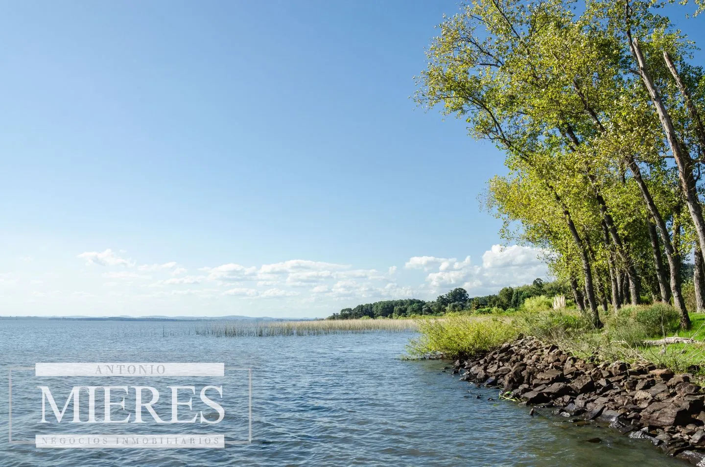 Lote en venta EL Puertito - Punta Ballena — foto 6