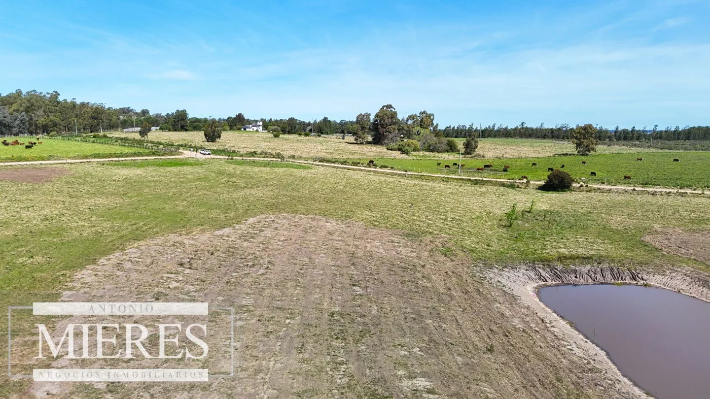 Chacra / Campo 5,0 ha en Maldonado — foto 24