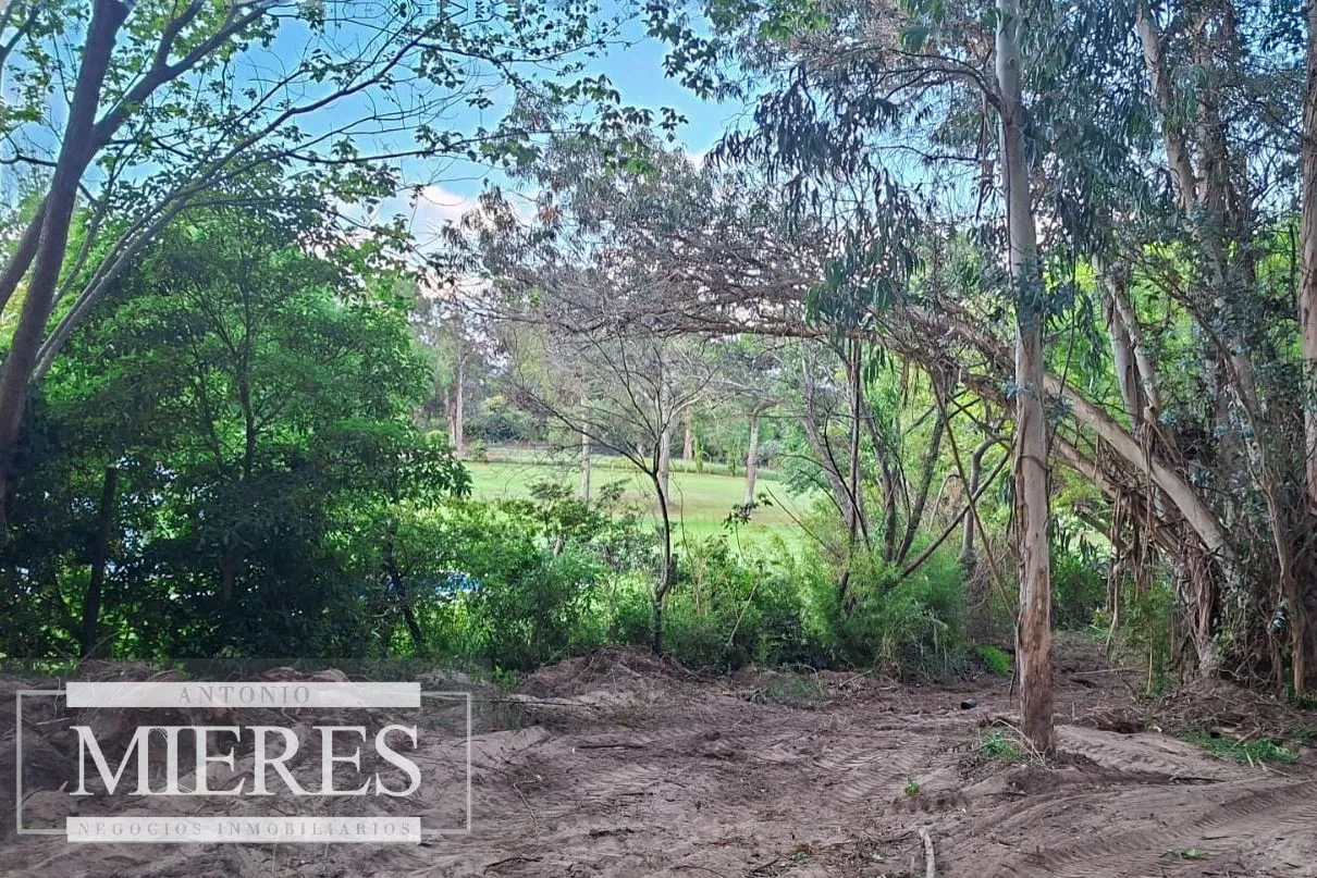 Lote con vista al Golf - Punta del Este — foto 3
