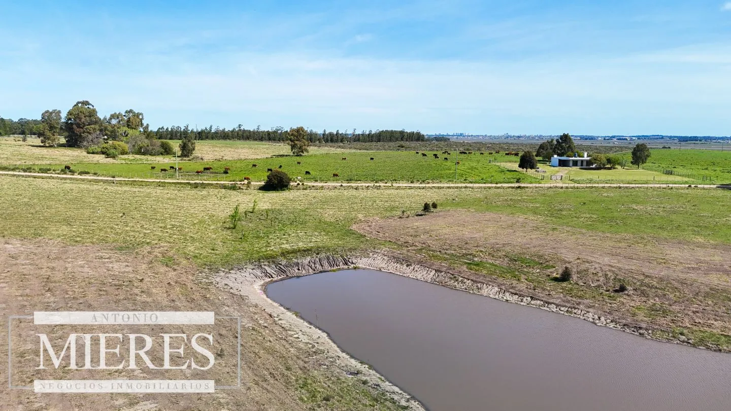 Chacra / Campo 5,0 ha en Maldonado — foto 25