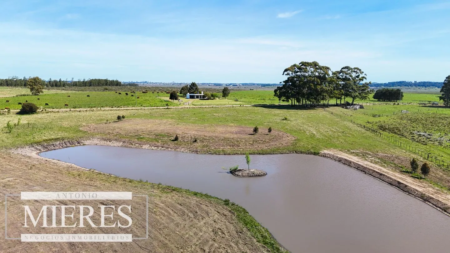Chacra / Campo 5,0 ha en Maldonado — foto 26