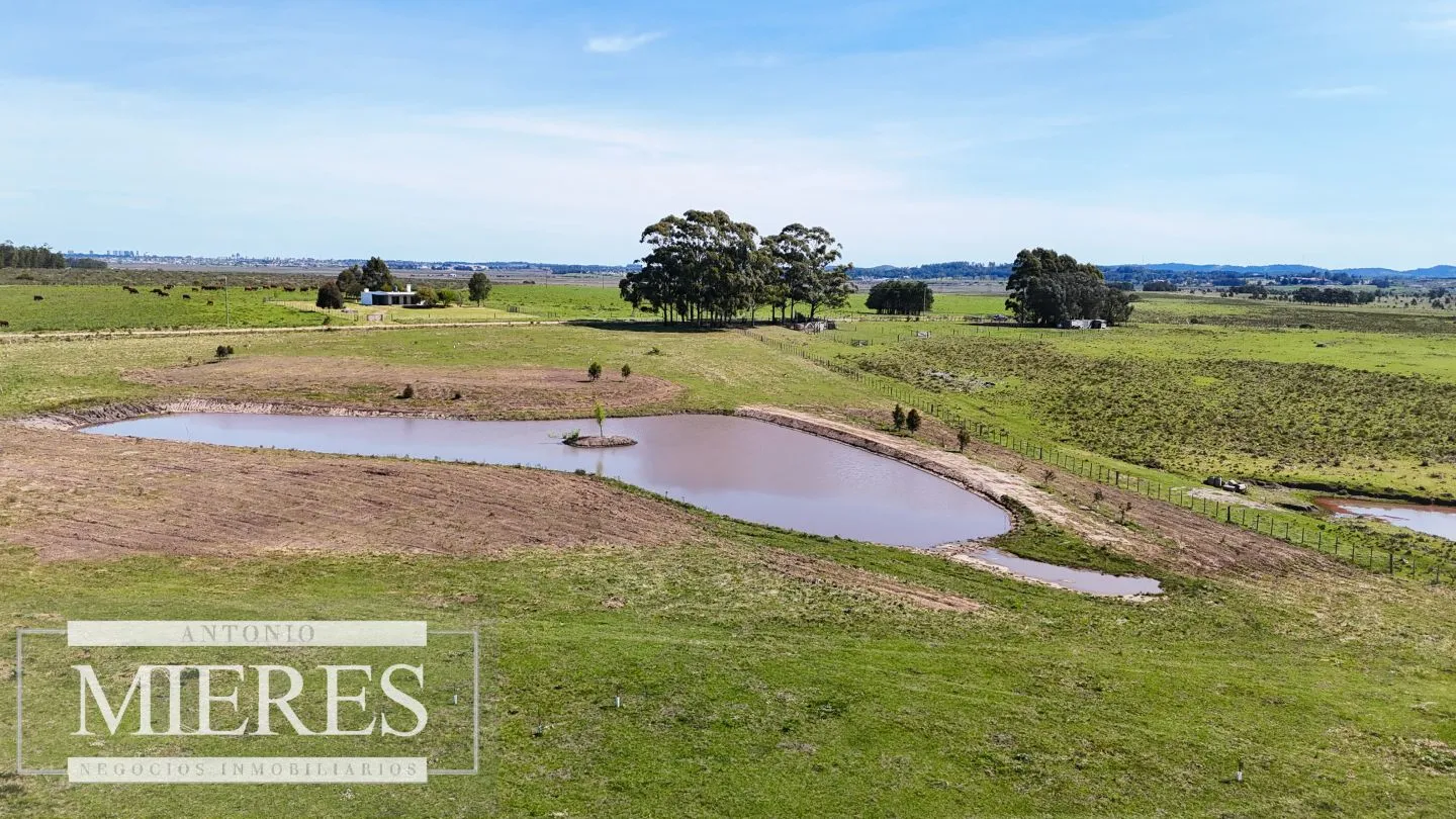 Chacra / Campo 5,0 ha en Maldonado — foto 27