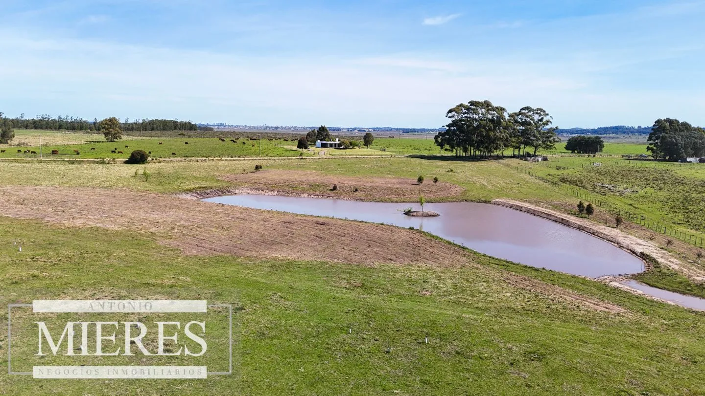 Chacra / Campo 5,0 ha en Maldonado — foto 28
