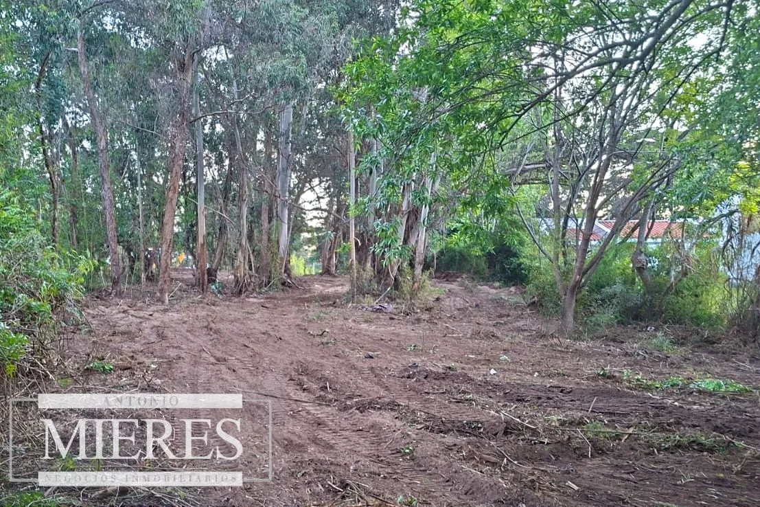 Lote con vista al Golf - Punta del Este — foto 6