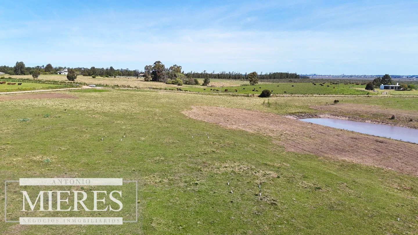 Chacra / Campo 5,0 ha en Maldonado — foto 29