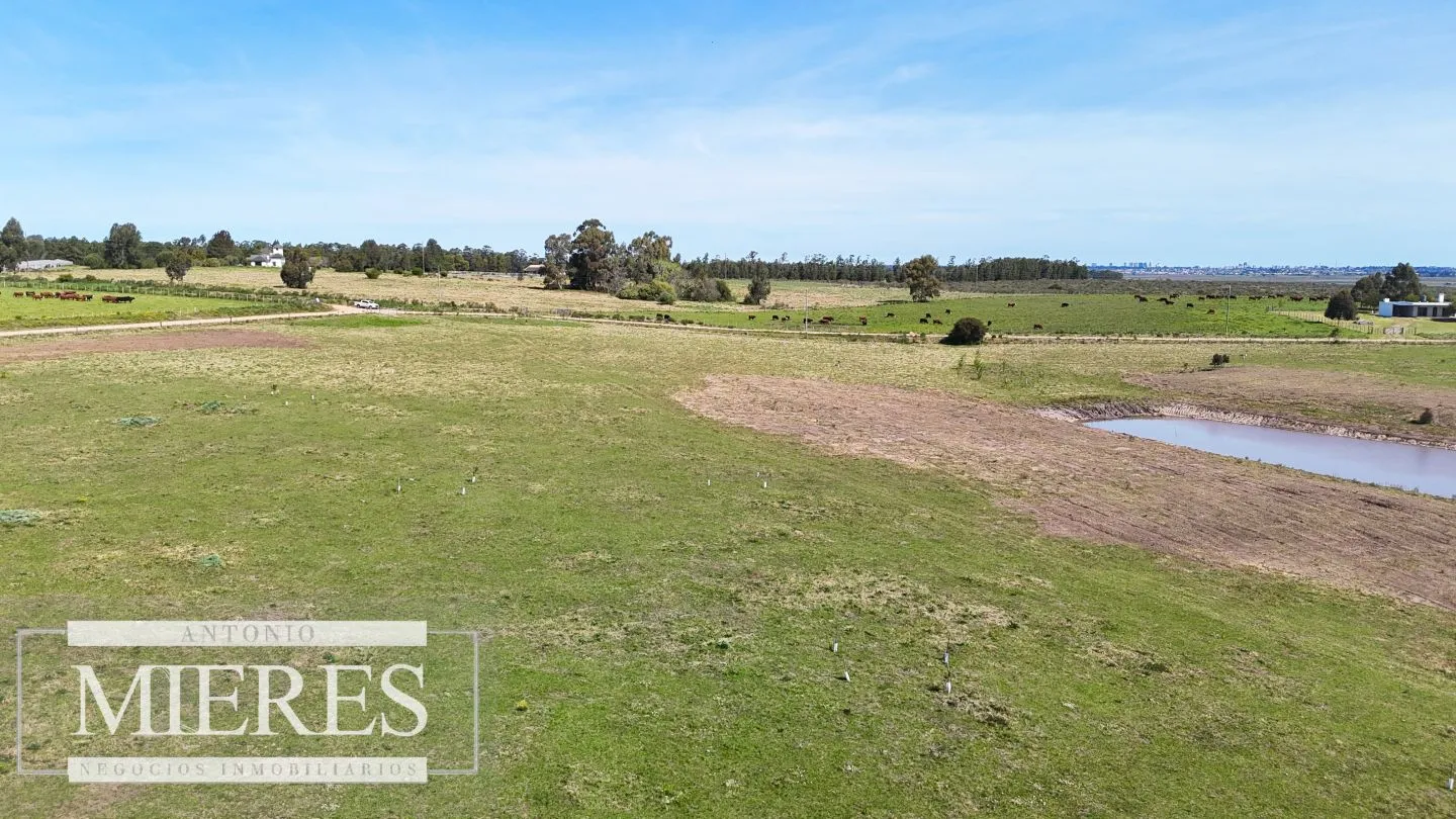 Chacra / Campo 5,0 ha en Maldonado — foto 30