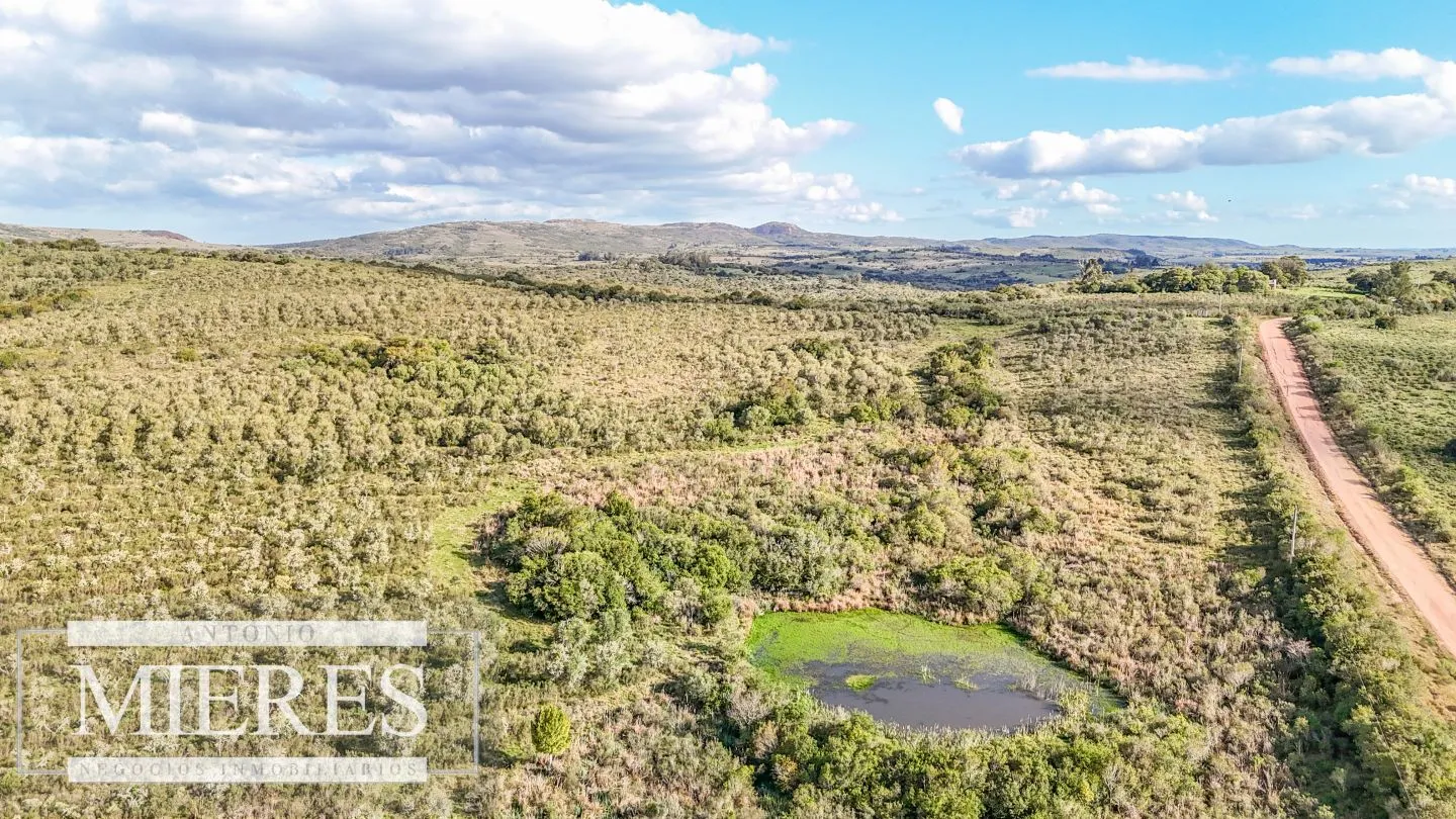Campo en venta de 130 ha en Maldonado Uruguay — foto 1