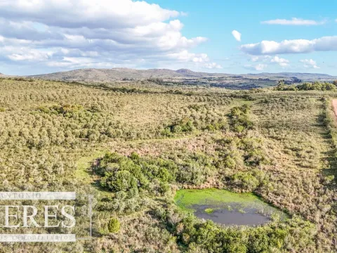 Campo en venta de 130 ha en Maldonado Uruguay