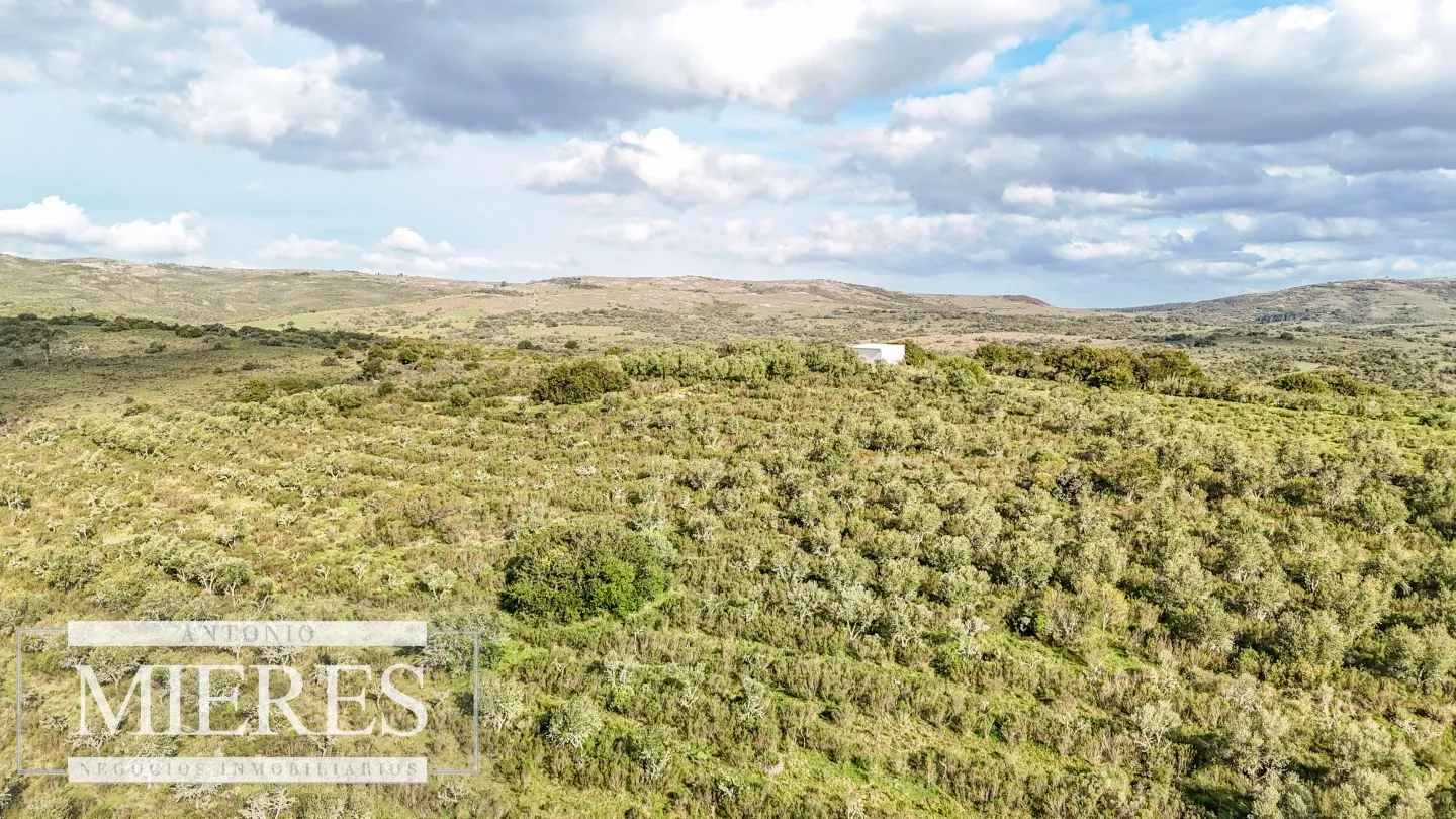 Campo en venta de 130 ha en Maldonado Uruguay — foto 3