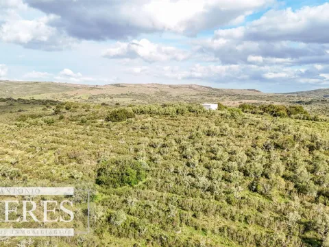 Campo en venta de 130 ha en Maldonado Uruguay — foto 3