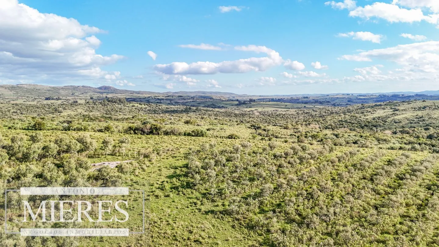 Campo en venta de 130 ha en Maldonado Uruguay — foto 4