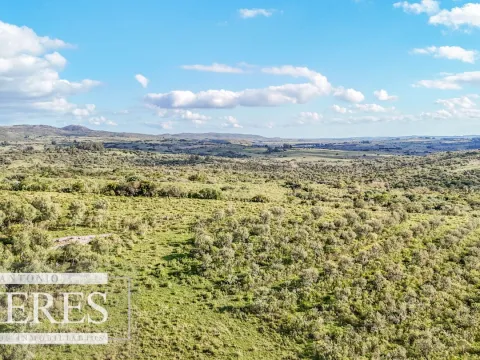 Campo en venta de 130 ha en Maldonado Uruguay — foto 4