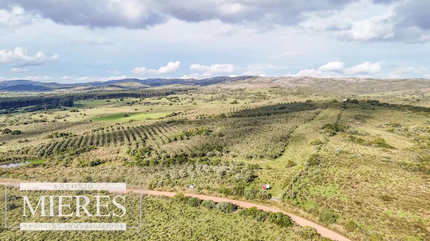 Campo en venta de 130 ha en Maldonado Uruguay — foto 5