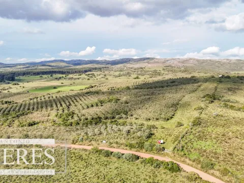 Campo en venta de 130 ha en Maldonado Uruguay — foto 5
