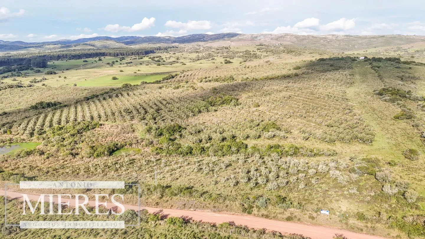 Campo en venta de 130 ha en Maldonado Uruguay — foto 6