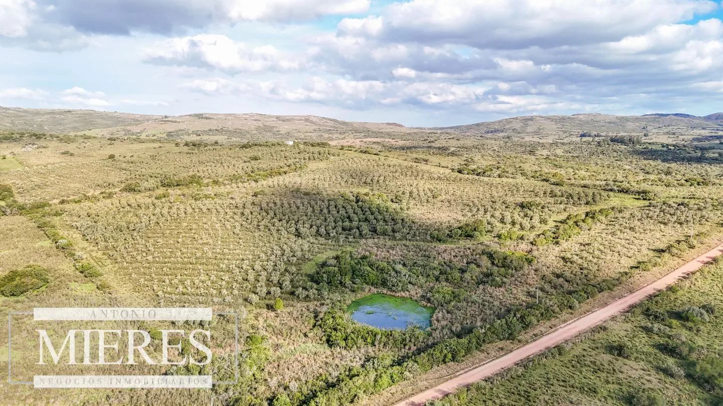 Campo en venta de 130 ha en Maldonado Uruguay — foto 7