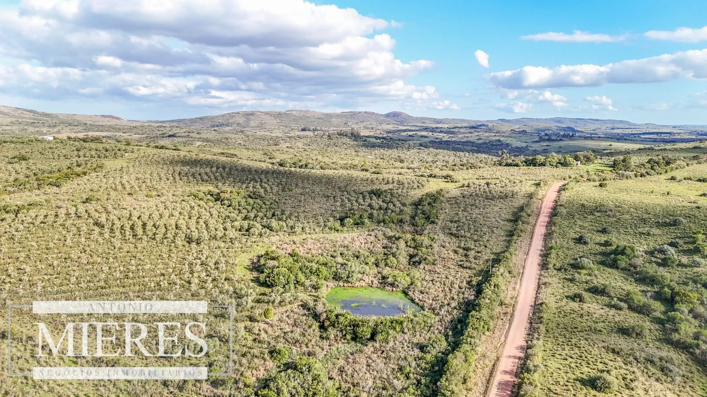 Campo en venta de 130 ha en Maldonado Uruguay — foto 8