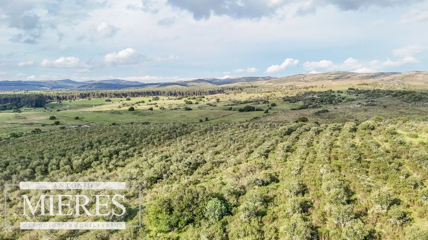 Campo en venta de 130 ha en Maldonado Uruguay — foto 10
