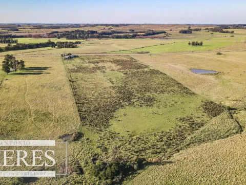Chacra / Campo 7,4 ha en Maldonado — foto 2
