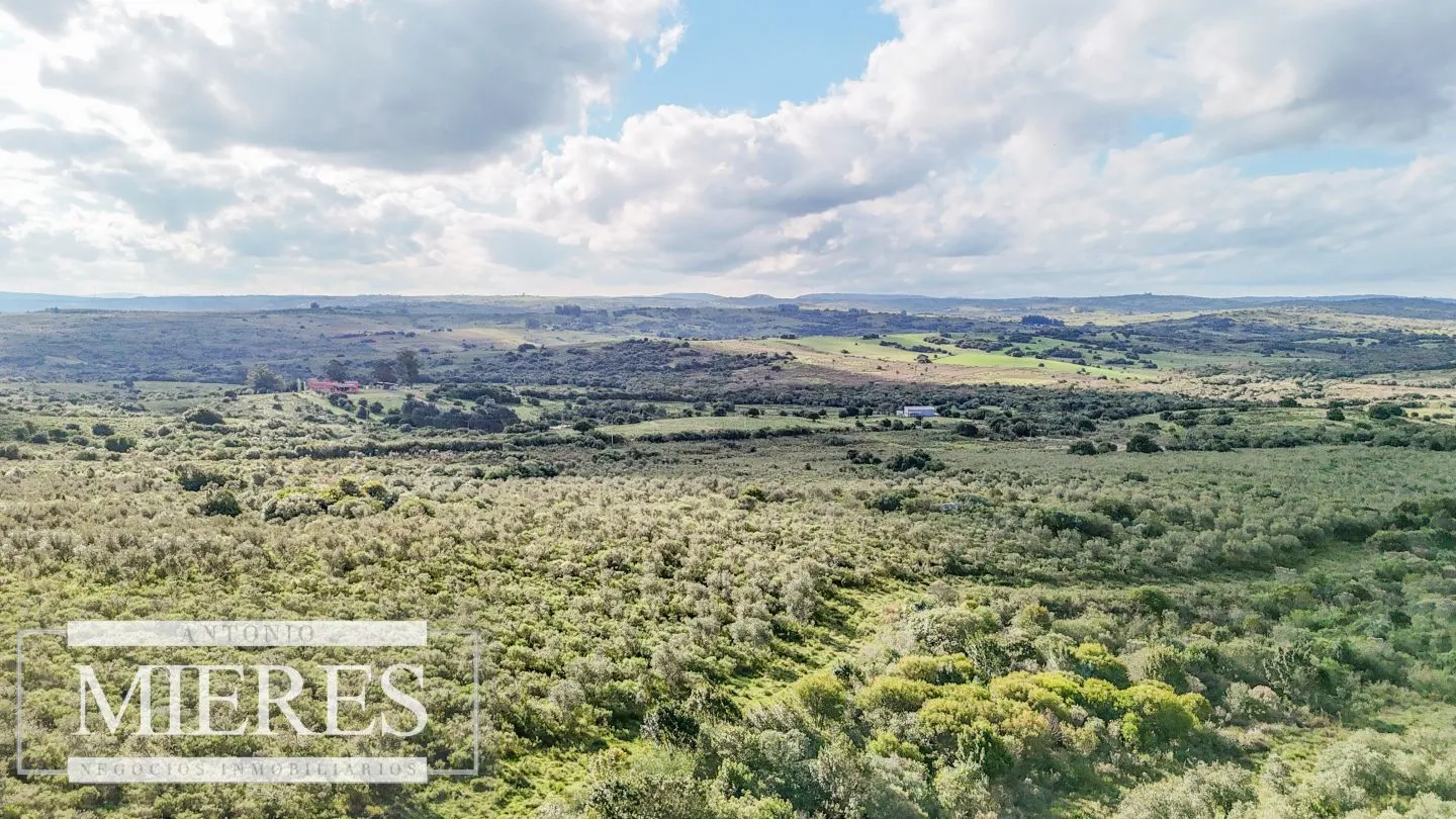 Campo en venta de 130 ha en Maldonado Uruguay — foto 11