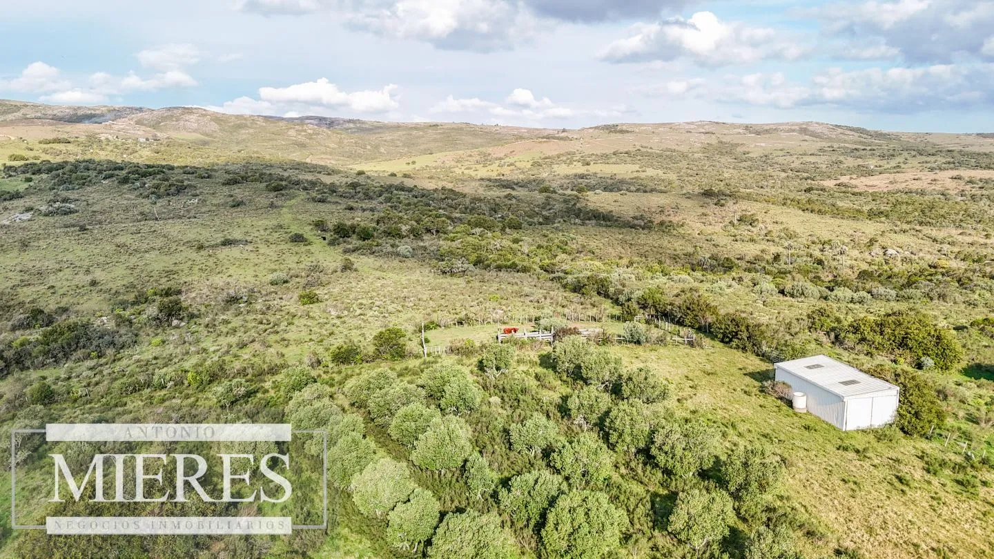 Campo en venta de 130 ha en Maldonado Uruguay — foto 12