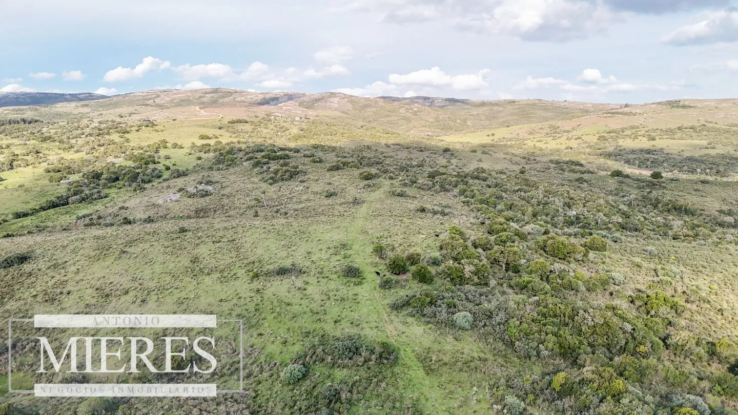 Campo en venta de 130 ha en Maldonado Uruguay — foto 13