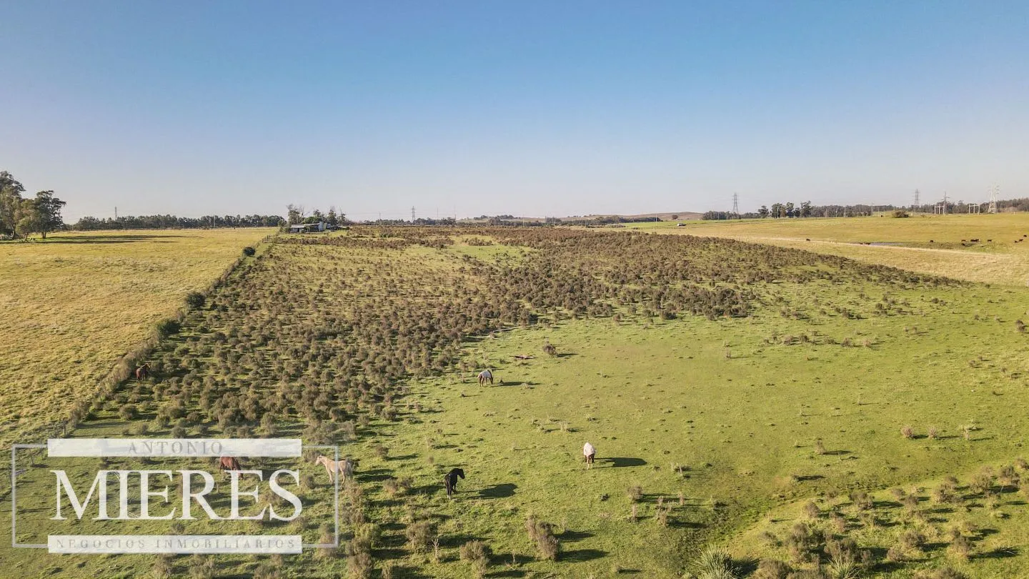 Chacra / Campo 7,4 ha en Maldonado — foto 5