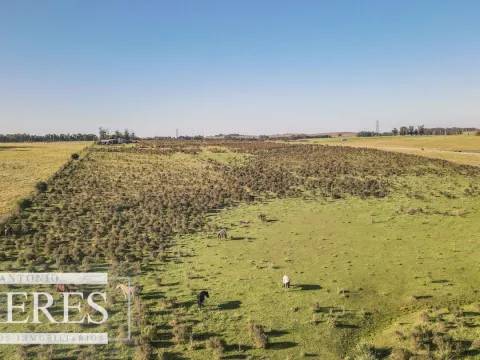 Chacra / Campo 7,4 ha en Maldonado — foto 5