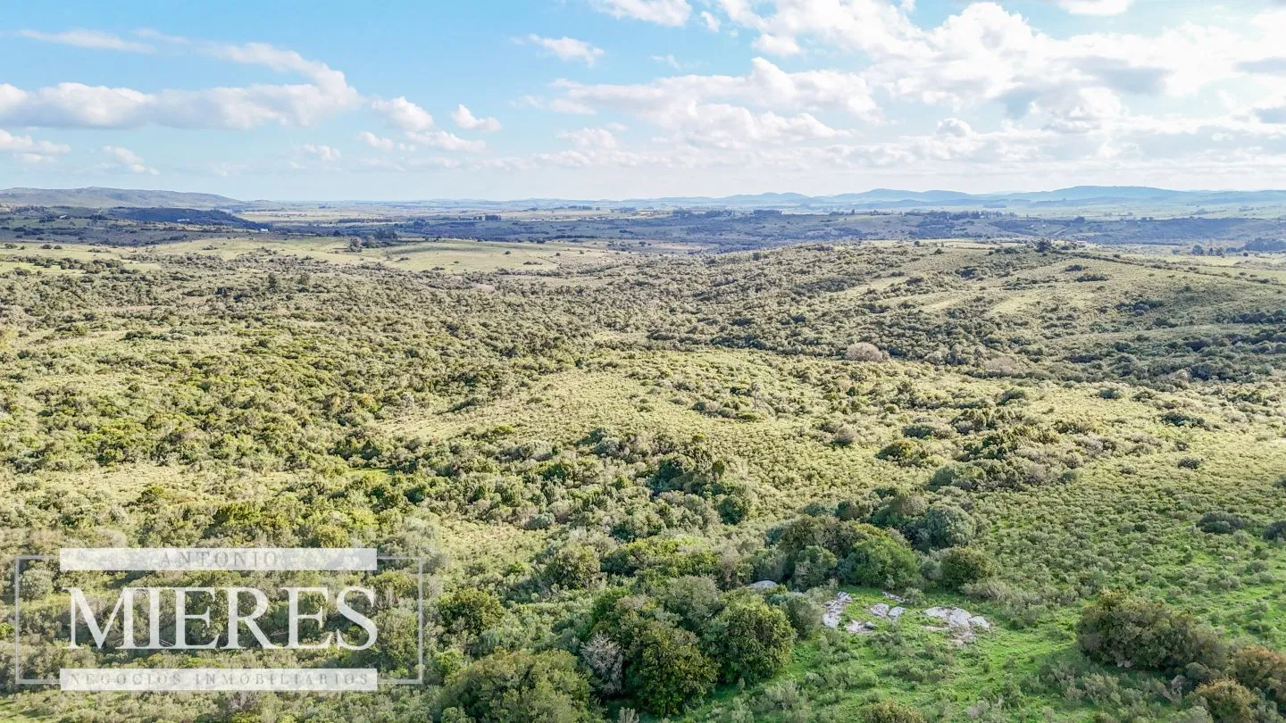 Campo en venta de 130 ha en Maldonado Uruguay — foto 14