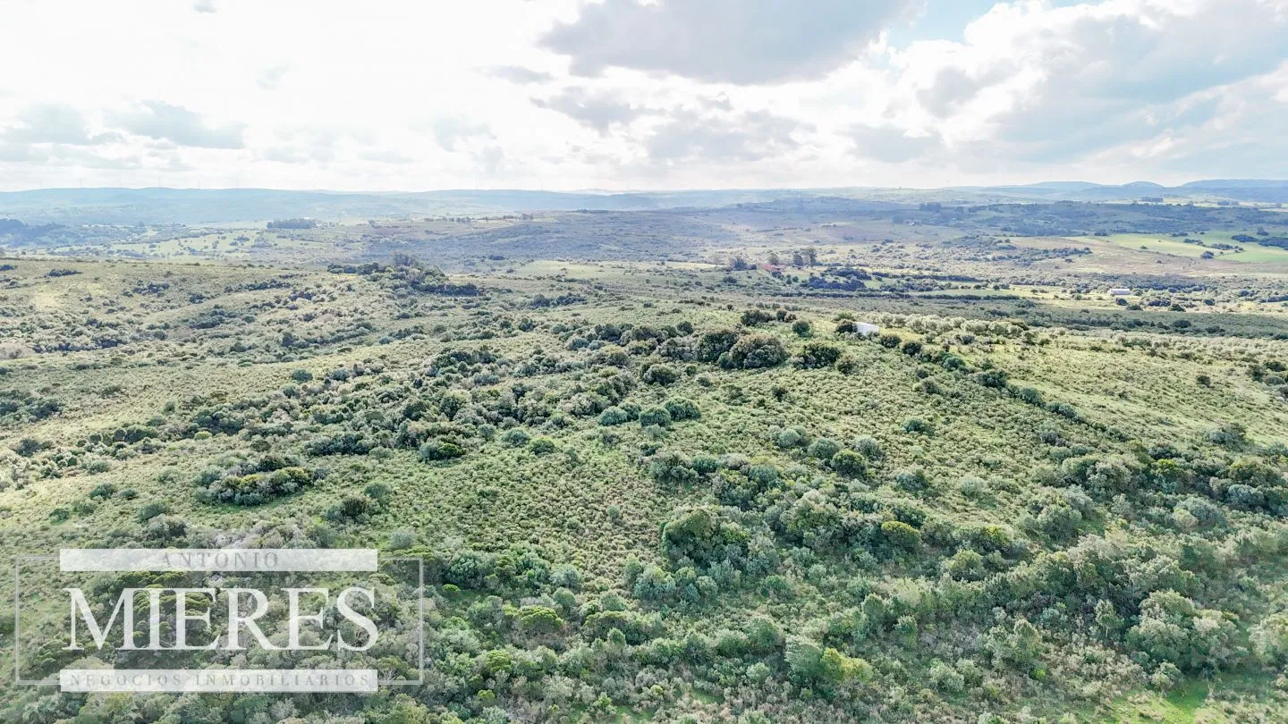 Campo en venta de 130 ha en Maldonado Uruguay — foto 15