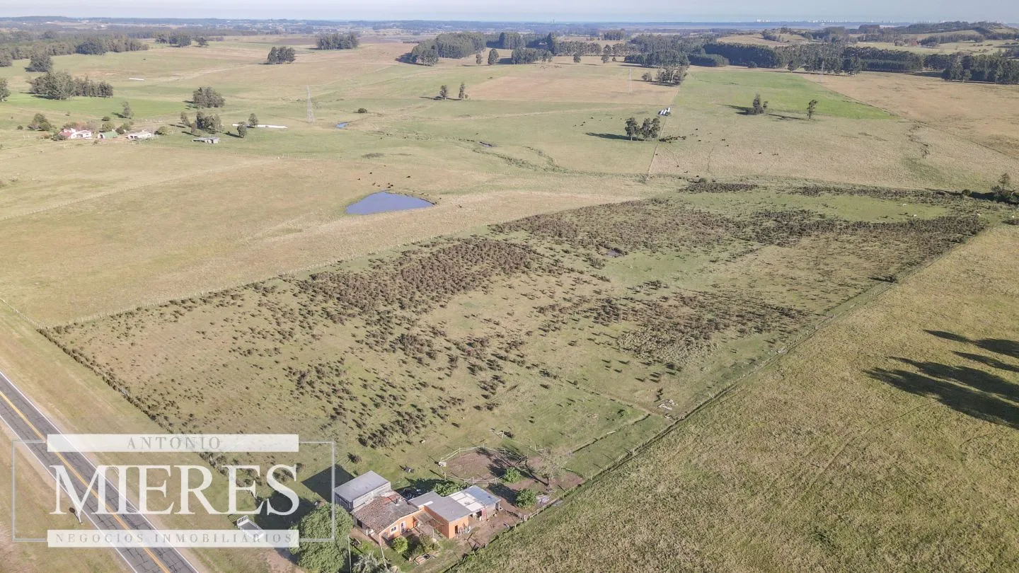 Chacra / Campo 7,4 ha en Maldonado — foto 8