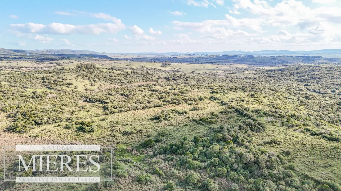 Campo en venta de 130 ha en Maldonado Uruguay — foto 16