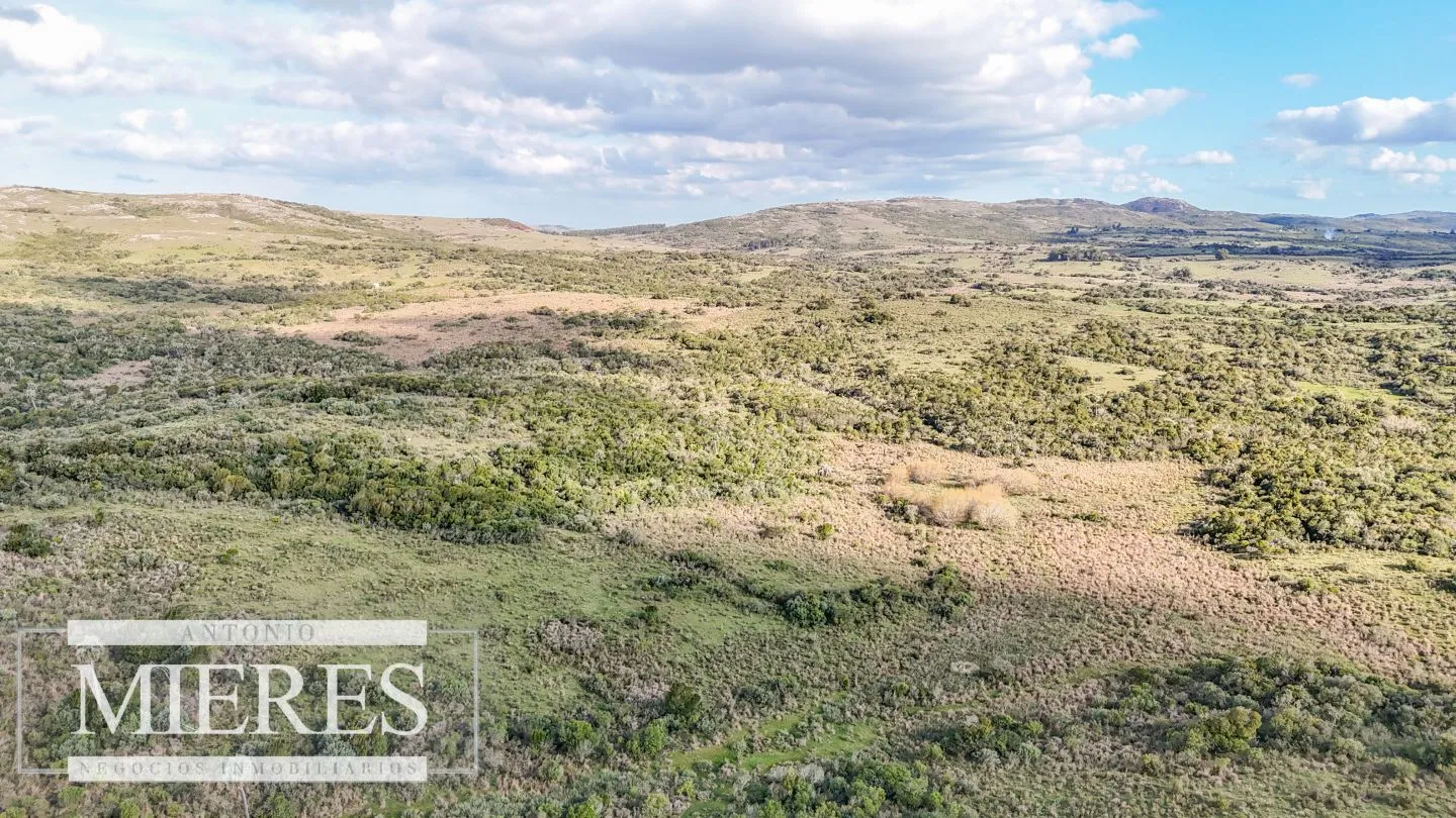 Campo en venta de 130 ha en Maldonado Uruguay — foto 17