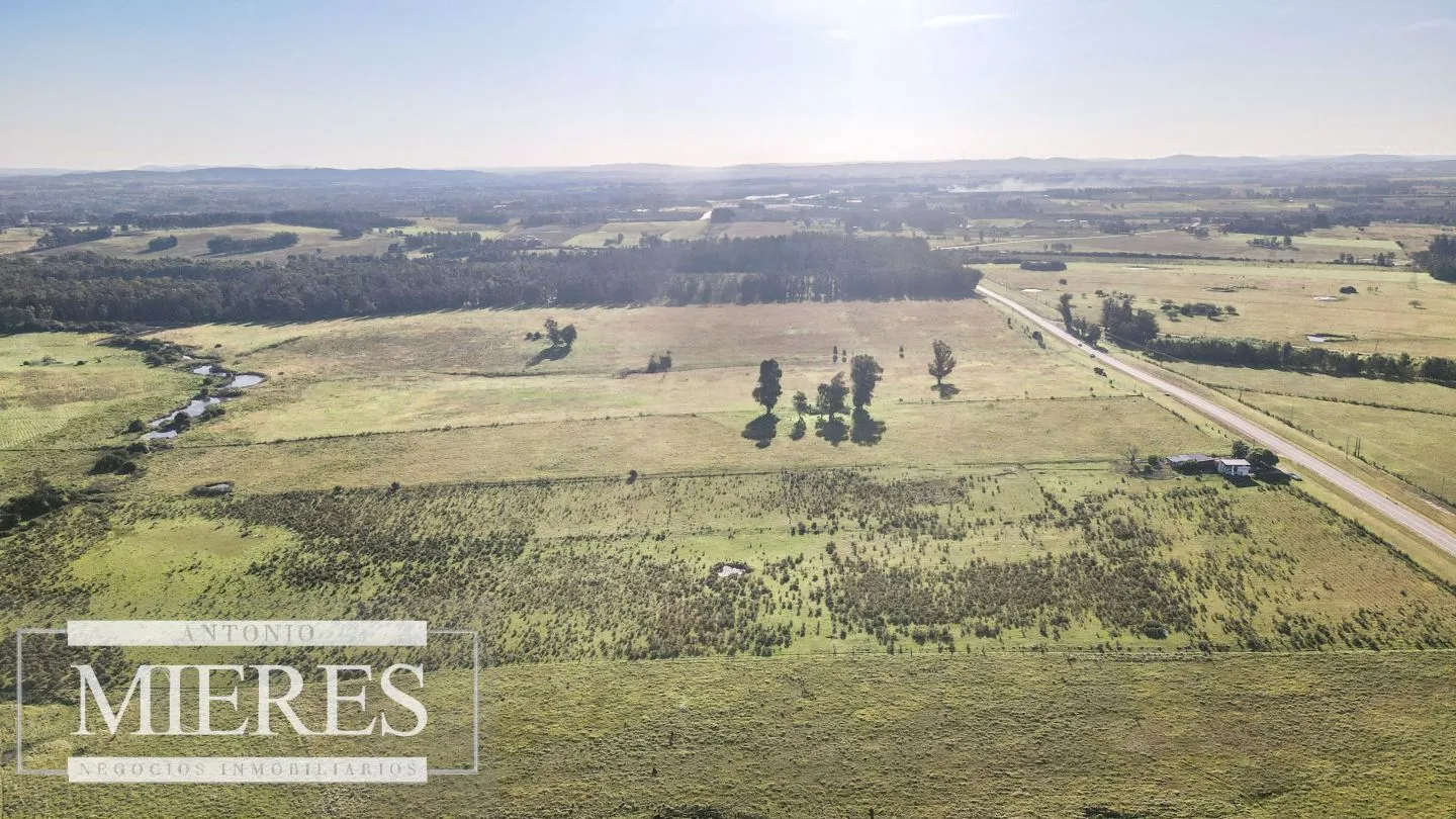 Chacra / Campo 7,4 ha en Maldonado — foto 10