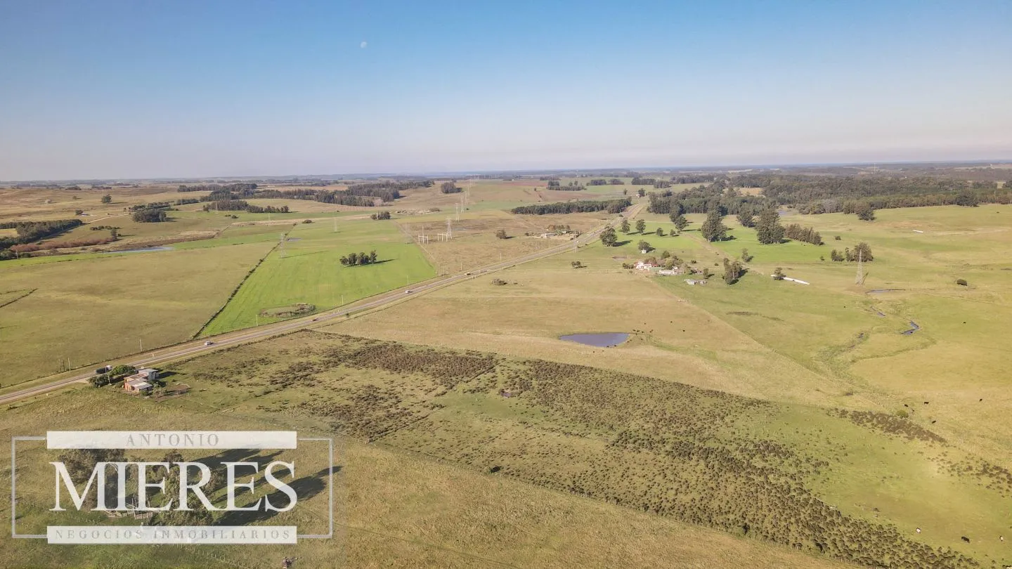 Chacra / Campo 7,4 ha en Maldonado — foto 11