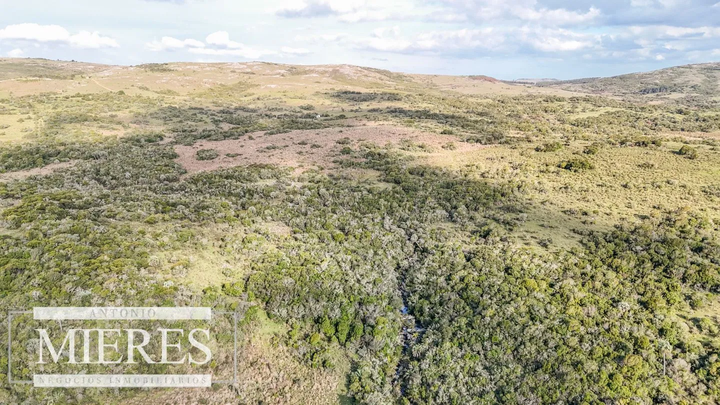 Campo en venta de 130 ha en Maldonado Uruguay — foto 18